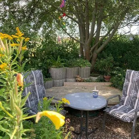 Stockrose * Middelhagen